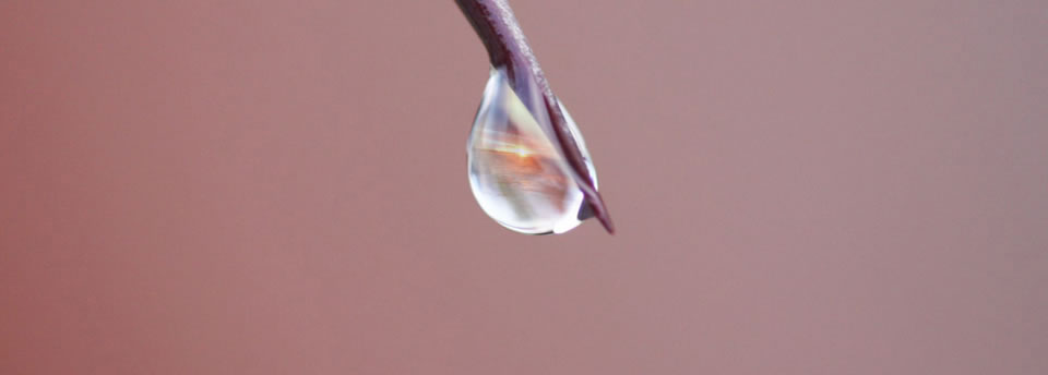 Calidad de agua y aire